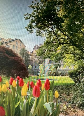 Palazzo Cisterna, il giardino ritrovato nel centro di Torino